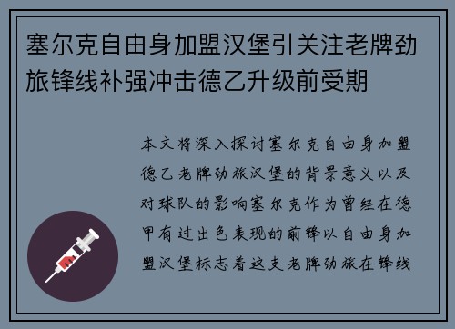 塞尔克自由身加盟汉堡引关注老牌劲旅锋线补强冲击德乙升级前受期